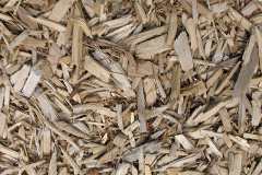 biomass boilers Tarfside